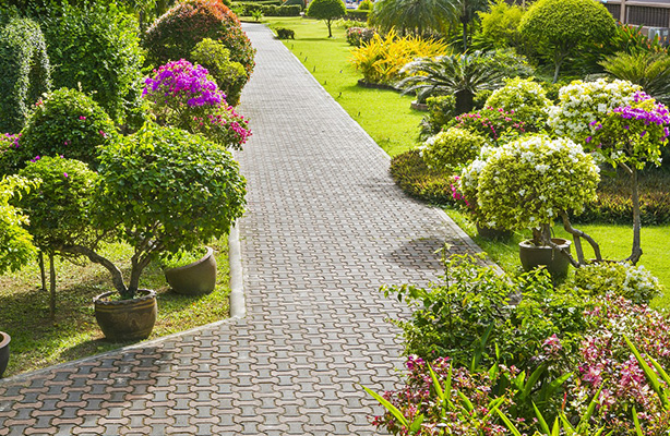 Cement Patios and Walkways