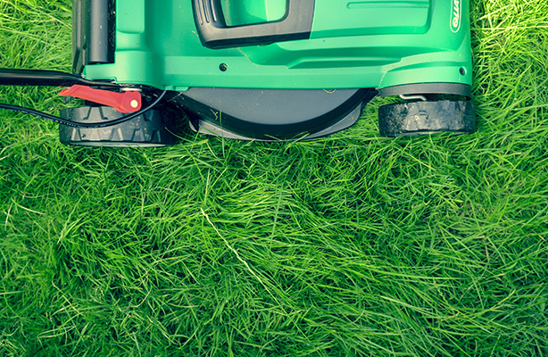 Lawn Care